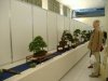 eba_conventie_tentoonstelling_oostende._038.jpg
