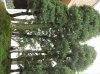 IMG_0975.jpg