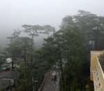 IMG_4612.jpg