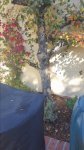 20161129_114203.jpg