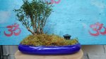 20161204_170140.jpg