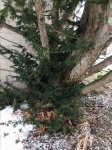 IMG_8191.JPG