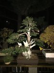 IMG_0492.JPG