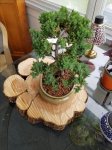20170524_112341.jpg