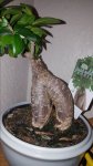 20170610_190231.jpg