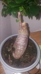 20170610_195556.jpg