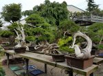 20170627_154839.jpg