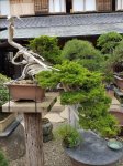 20170627_154917.jpg