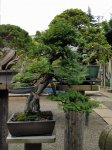 20170627_160021.jpg