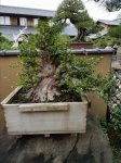 20170627_160223.jpg