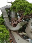20170627_160731.jpg