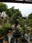 20170627_160914.jpg