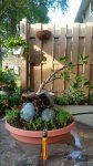 20170712_190241.jpg