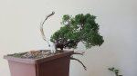 20170730_132517.jpg