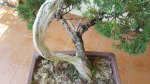 20170730_132559.jpg