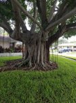 20170829_101233.jpg
