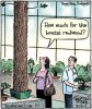 bonsai redwood.jpg