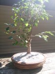 IMG_20170924_123741.jpg