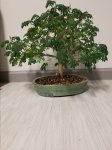 20171104_134142.jpg