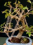 20171107_104618.jpg
