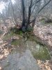 20120228279.jpg