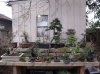 DSCF1846.jpg