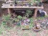 DSCF1847.jpg