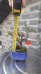 20180331_101819.jpg