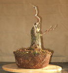 ramp3_cambiar tamaño.jpg