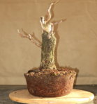 ramp5_cambiar tamaño.jpg