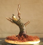 ramp8_cambiar tamaño.jpg