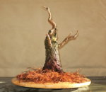 ramp9_cambiar tamaño.jpg