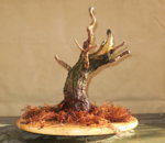 ramp10_cambiar tamaño.jpg