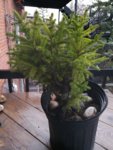 IMG_20180426_185559.jpg