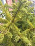 IMG_20180502_085649.jpg