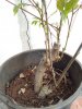 IMG_20120415_173446.jpg