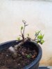IMG_20120413_172634.jpg