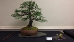 20180414_110736.jpg