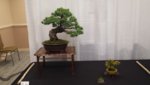 20180414_111018.jpg