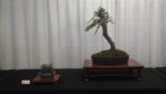 20180414_134510.jpg