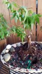 20180614_180313.jpg
