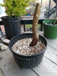 IMG_20180505_191419.jpg