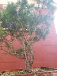 20180822_184605.jpg