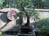 IMG_0518.jpg