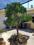 20180720_145149.jpg