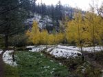 20181008_103740.jpg