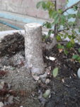 20180825_165442.jpg