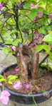 20190601_183300.jpg