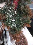 IMG_20190331_151409854.jpg