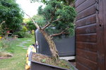 DSCF8737.JPG